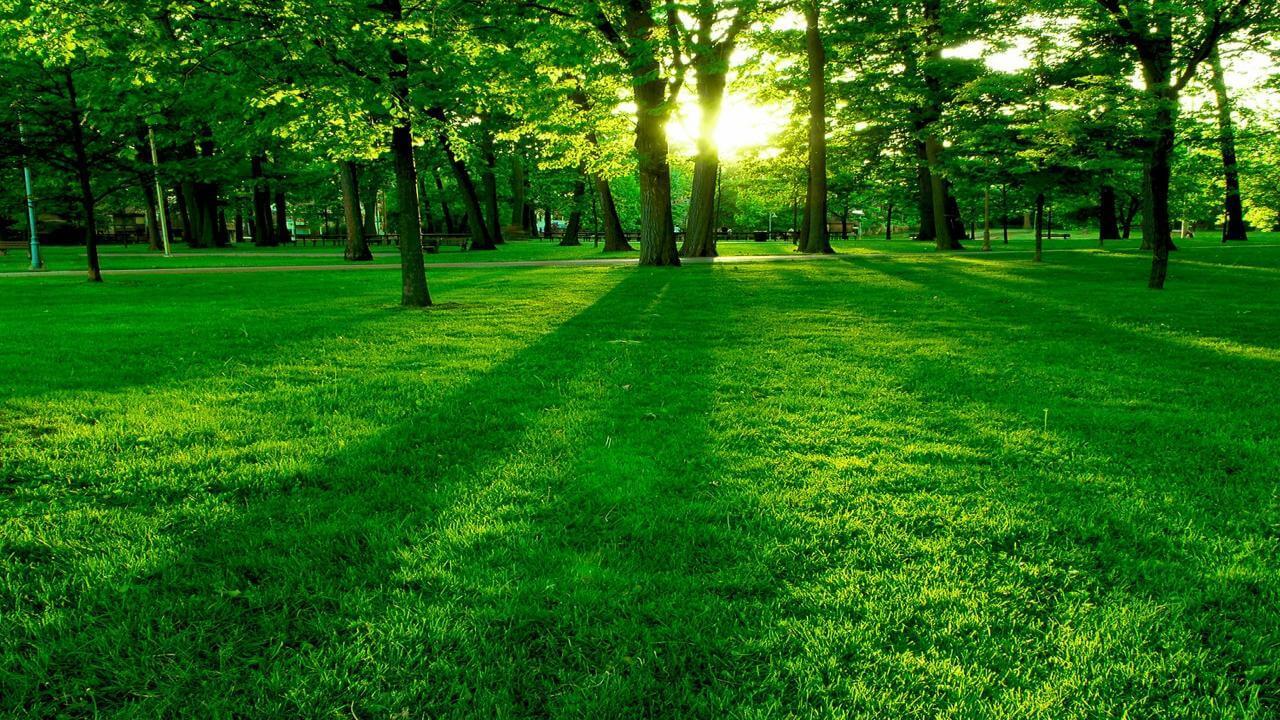 test image 2311