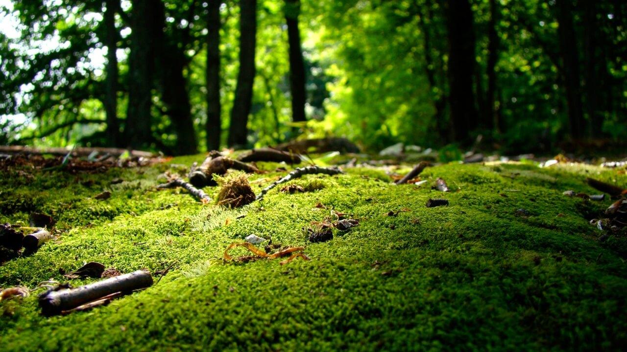 test image 2312
